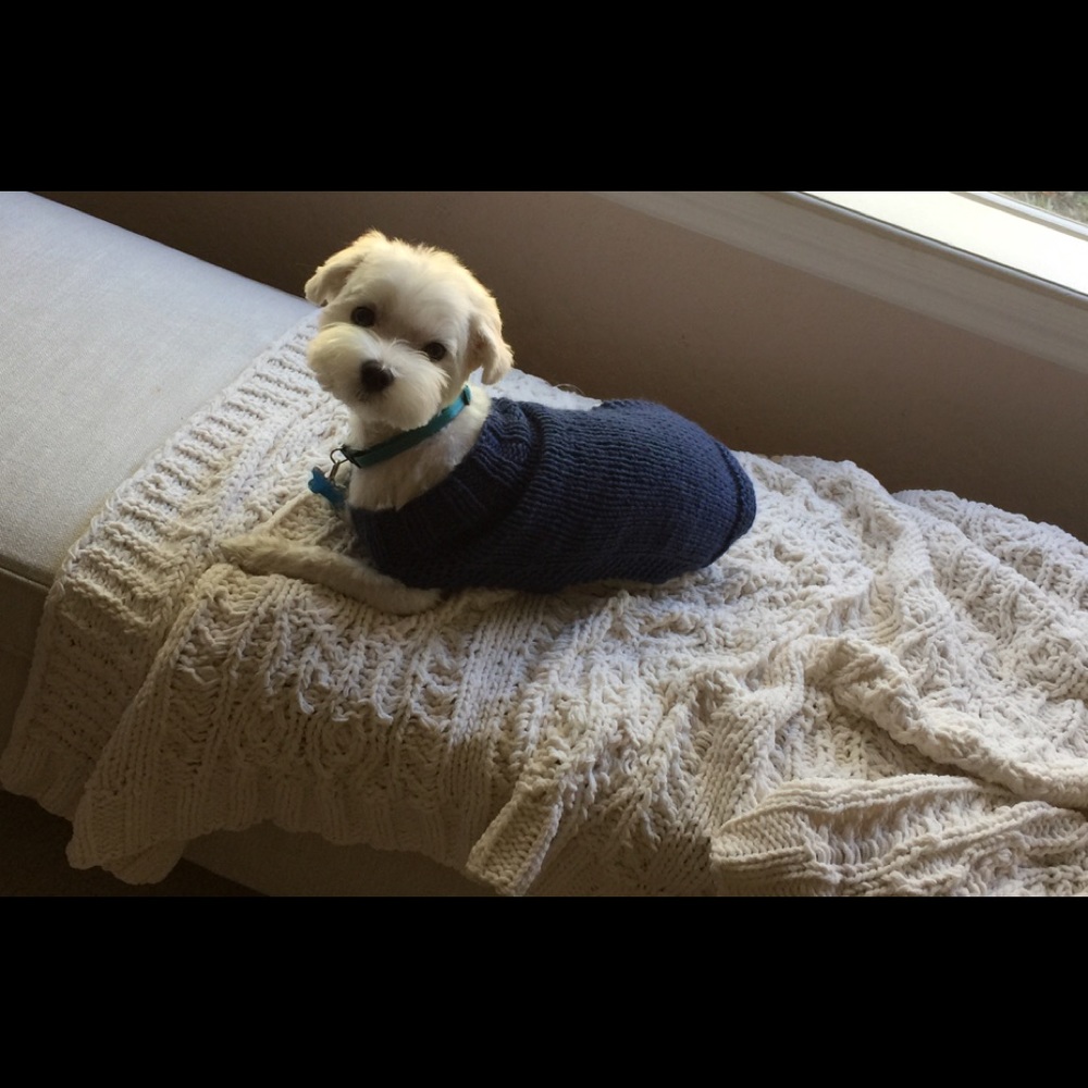 Meet your Posher, Carolyn